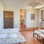 Girasole Ad Antico Casale '700 Umbertide